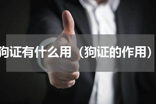 狗证有什么用（狗证的作用）