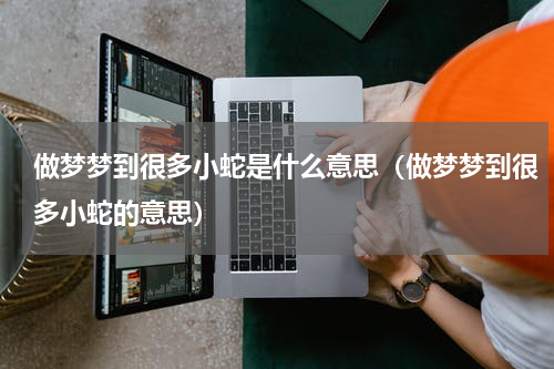 做梦梦到很多小蛇是什么意思（做梦梦到很多小蛇的意思）