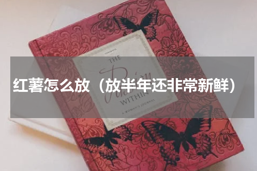 红薯怎么放（放半年还非常新鲜）