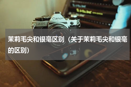 茉莉毛尖和银毫区别（关于茉莉毛尖和银毫的区别）