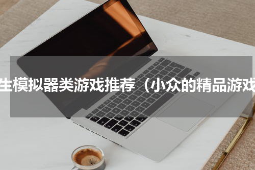 人生模拟器类游戏推荐（小众的精品游戏）