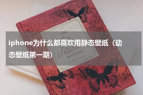 iphone为什么都喜欢用静态壁纸（动态壁纸第一期）
