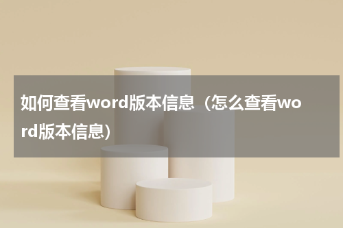 如何查看word版本信息（怎么查看word版本信息）