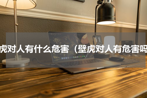 壁虎对人有什么危害（壁虎对人有危害吗）