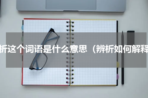 辨析这个词语是什么意思（辨析如何解释）