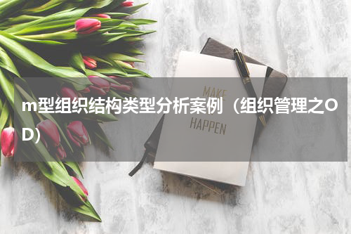 m型组织结构类型分析案例（组织管理之OD）