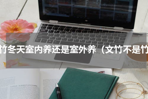 文竹冬天室内养还是室外养（文竹不是竹）