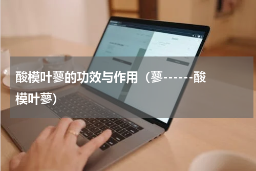 酸模叶蓼的功效与作用（蓼------酸模叶蓼）