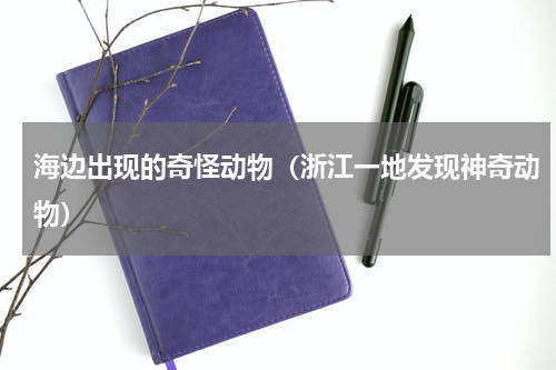 海边出现的奇怪动物（浙江一地发现神奇动物）
