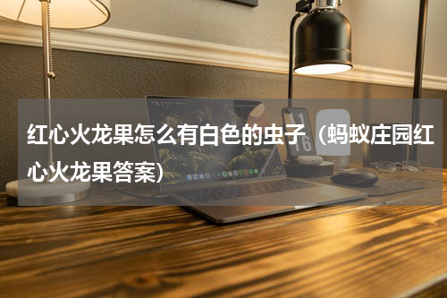 红心火龙果怎么有白色的虫子（蚂蚁庄园红心火龙果答案）