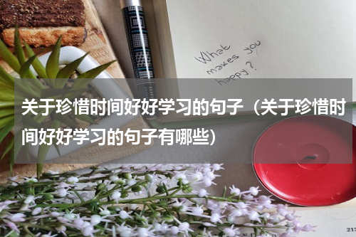 关于珍惜时间好好学习的句子（关于珍惜时间好好学习的句子有哪些）