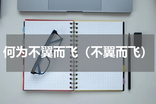 何为不翼而飞（不翼而飞）
