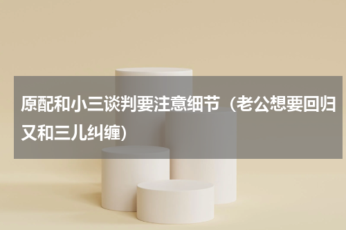 原配和小三谈判要注意细节（老公想要回归又和三儿纠缠）