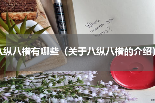 八纵八横有哪些（关于八纵八横的介绍）