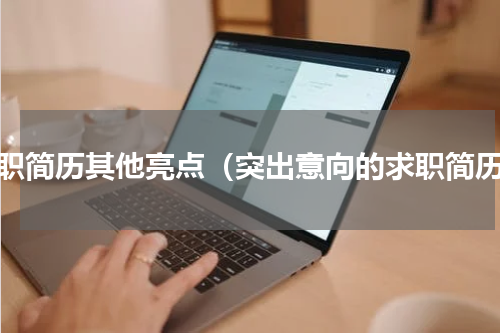 求职简历其他亮点（突出意向的求职简历）