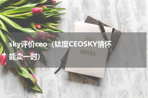 sky评价ceo（钛度CEOSKY情怀能卖一时）