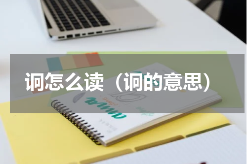 诇怎么读（诇的意思）