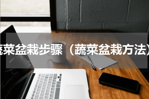 蔬菜盆栽步骤（蔬菜盆栽方法）