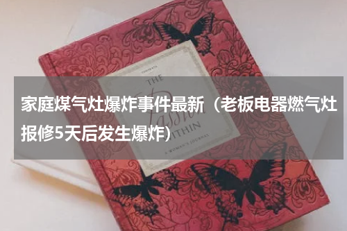 家庭煤气灶爆炸事件最新（老板电器燃气灶报修5天后发生爆炸）