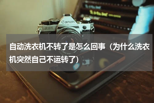 自动洗衣机不转了是怎么回事（为什么洗衣机突然自己不运转了）
