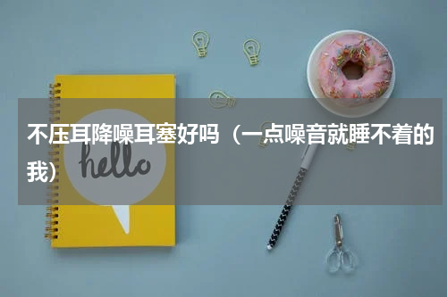 不压耳降噪耳塞好吗（一点噪音就睡不着的我）