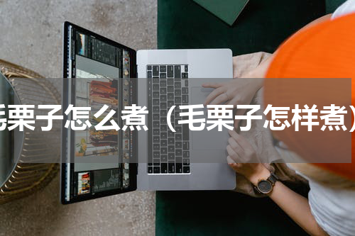 毛栗子怎么煮（毛栗子怎样煮）