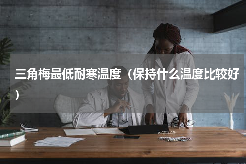 三角梅最低耐寒温度（保持什么温度比较好）