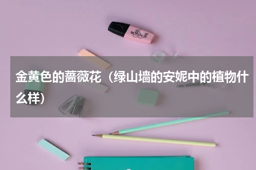金黄色的蔷薇花（绿山墙的安妮中的植物什么样）