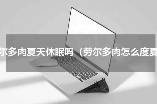 劳尔多肉夏天休眠吗（劳尔多肉怎么度夏）