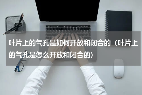叶片上的气孔是如何开放和闭合的（叶片上的气孔是怎么开放和闭合的）
