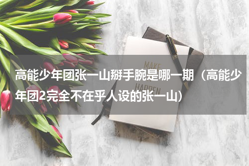 高能少年团张一山掰手腕是哪一期（高能少年团2完全不在乎人设的张一山）