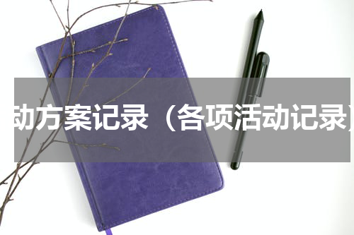 活动方案记录（各项活动记录）
