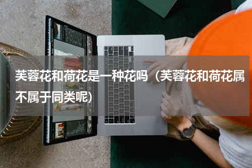 芙蓉花和荷花是一种花吗（芙蓉花和荷花属不属于同类呢）