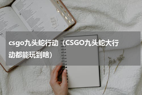 csgo九头蛇行动（CSGO九头蛇大行动都能玩到啥）