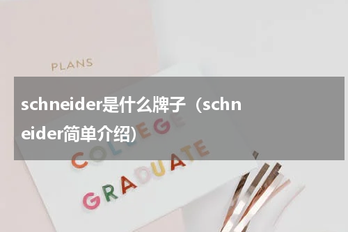 schneider是什么牌子（schneider简单介绍）