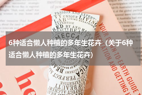 6种适合懒人种植的多年生花卉（关于6种适合懒人种植的多年生花卉）