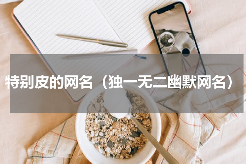 特别皮的网名（独一无二幽默网名）
