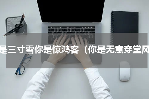 我是三寸雪你是惊鸿客（你是无意穿堂风）