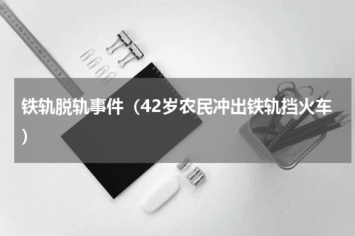 铁轨脱轨事件（42岁农民冲出铁轨挡火车）