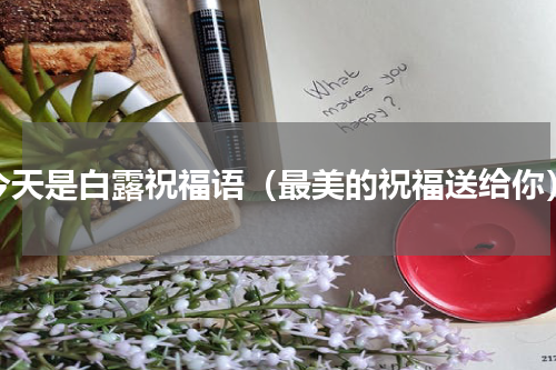 今天是白露祝福语（最美的祝福送给你）