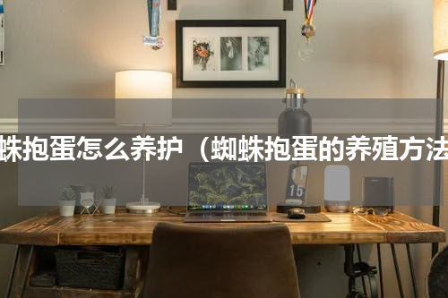 蜘蛛抱蛋怎么养护（蜘蛛抱蛋的养殖方法）