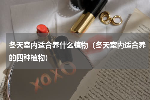 冬天室内适合养什么植物（冬天室内适合养的四种植物）