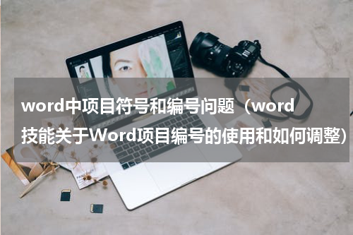 word中项目符号和编号问题（word技能关于Word项目编号的使用和如何调整）