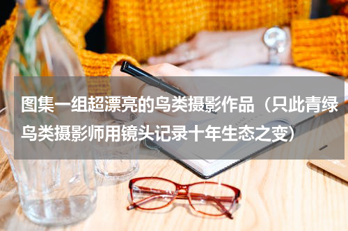 图集一组超漂亮的鸟类摄影作品（只此青绿鸟类摄影师用镜头记录十年生态之变）