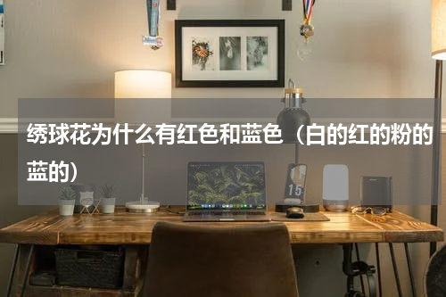 绣球花为什么有红色和蓝色（白的红的粉的蓝的）