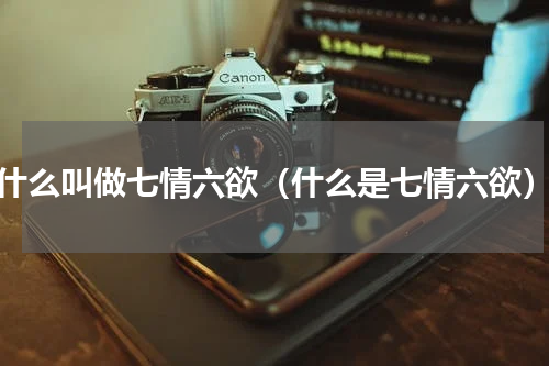 什么叫做七情六欲（什么是七情六欲）