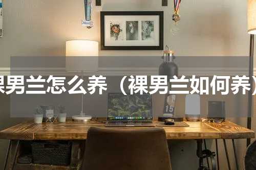 裸男兰怎么养（裸男兰如何养）