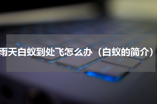 雨天白蚁到处飞怎么办（白蚁的简介）