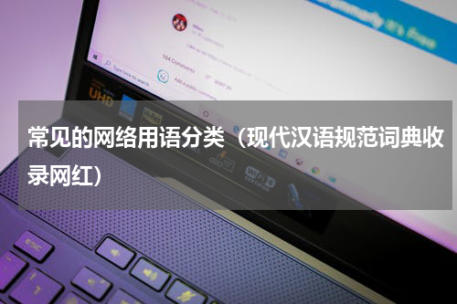 常见的网络用语分类（现代汉语规范词典收录网红）