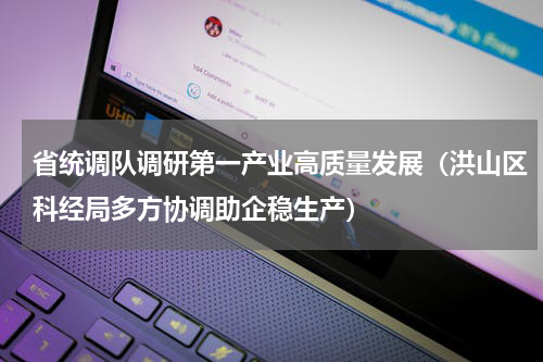 省统调队调研第一产业高质量发展（洪山区科经局多方协调助企稳生产）